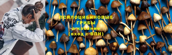 МДПВ Абинск