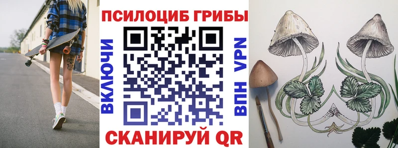 Псилоцибиновые грибы Psilocybe  shop состав  Партизанск 