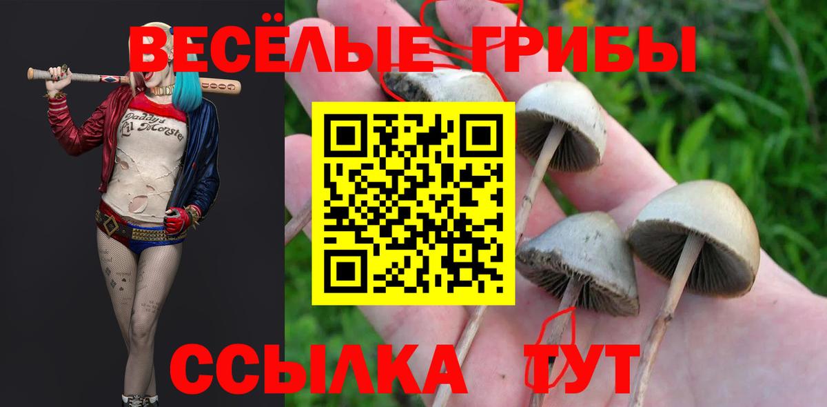 Псилоцибиновые грибы мухоморы  Вход с VPN  Партизанск 