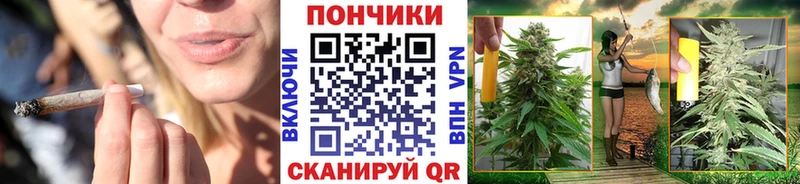 продажа наркотиков  Партизанск  Шишки марихуана сатива 